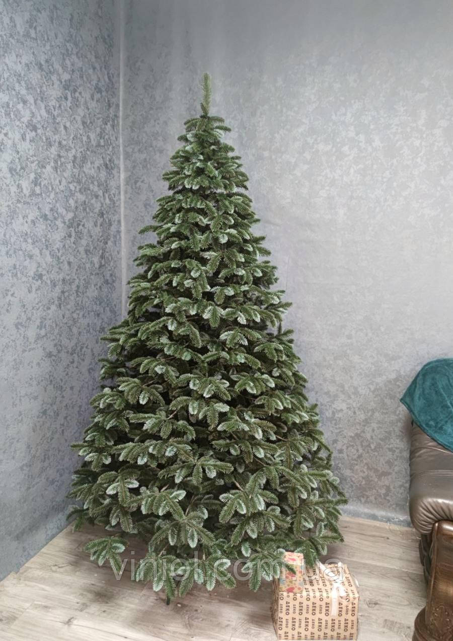 Ялинка Лита Канадська з блакитними кінчиками 1,80 м