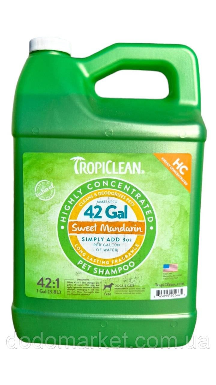 Шампунь «Солодкий мандарин», Високо- концентрований 1:42, дезодорукчий, для собак та котів, 3,8 л, фото 1