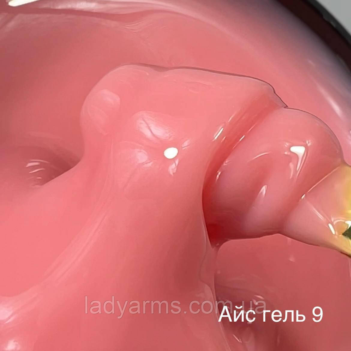 LAгель АйС No009 (010 грамів)