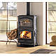 Піч-камін на дрова La Nordica ISOTTA FORNO EVO - фото 1 - id-p2013023789