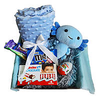Детский подарочный набор для мальчика с мягкой игрушкой аксолотль и пледом (GB-001)