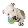 Planet Dog Orbee-Tuff М'яч-земна куля для собак L, фото 5