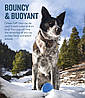 Planet Dog Orbee-Tuff М'яч-земна куля для собак, синій M, фото 5