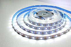 Світлодіодна стрічка 5В 1м LLS-300W-2835-5 SMD 2835 60 LED/m IP20 Білий