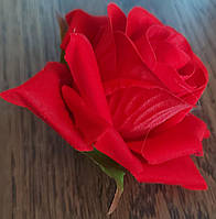 Квітка, троянда червона.