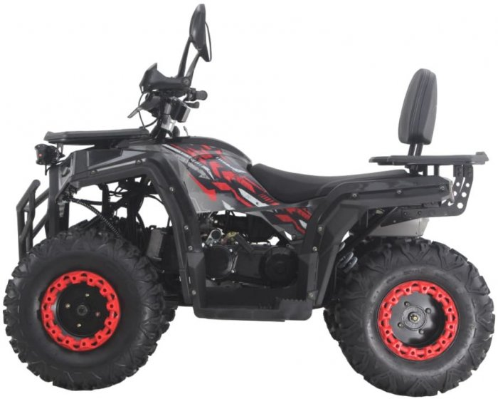 Квадроцикл FORTE ATV-200G - фото 2 - id-p2013175890