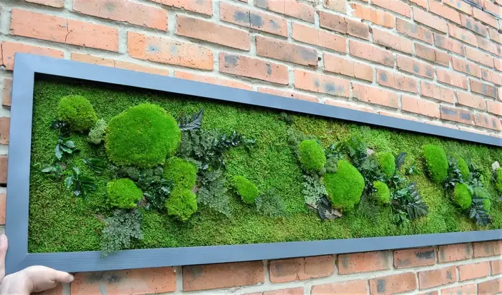 Панно зі стабілізованим мохом, фото 2
