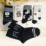Шкарпетки теплі жіночі  Розмір36-41, фото 2