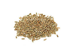 Жито посівне озиме РОЖЬ (в мішку) 25кг ТМ НАСІННЯ УКРАЇНИ