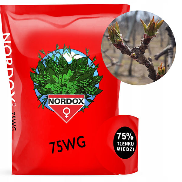 Фунгіцид Нордокс (Nordox 75 WG) , 0,5кг , Норвегія , оригінал, фото 1