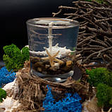 Декоративна гелева свічка Чародійка морська, фото 3