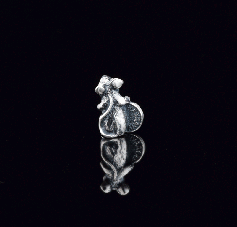 Золотая кошельковая мышь с монетой - фото 2 - id-p2013325021
