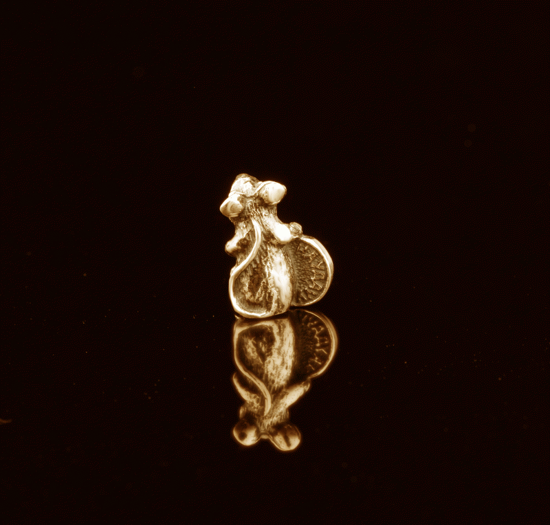 Золотая кошельковая мышь с монетой - фото 3 - id-p2013325021