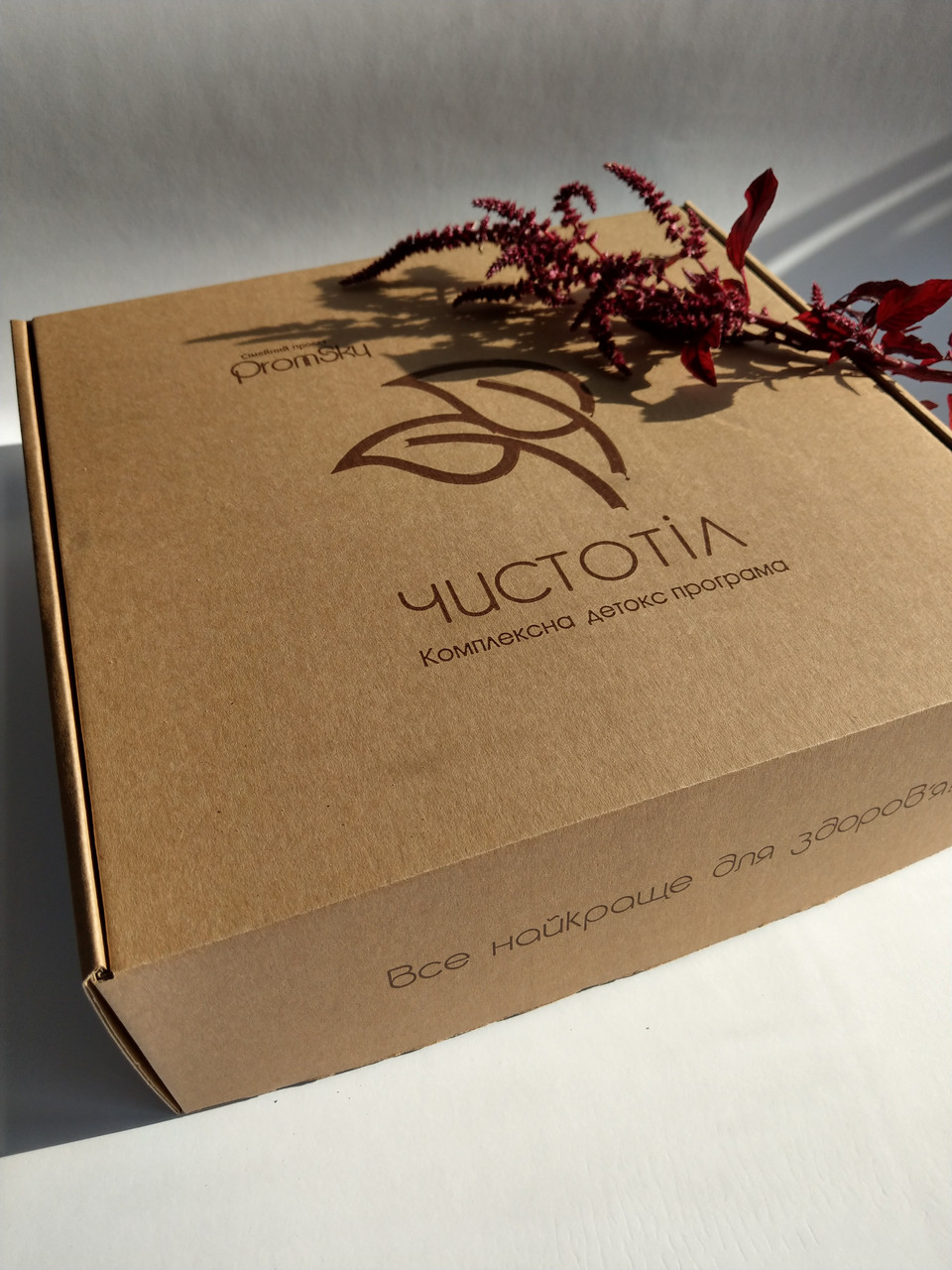 Антипаразитарна Детокс програма "Чистотіл" 21 день (+очищення)