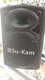 Колонка бездротова Акумуляторна 15" Su-Kam BT-150D iC227, фото 4