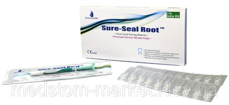 SURE-SEAL ROOT / Шуре сіл рут / шприц 2 г, насадки 20 шт., SURE DENT (Корея)