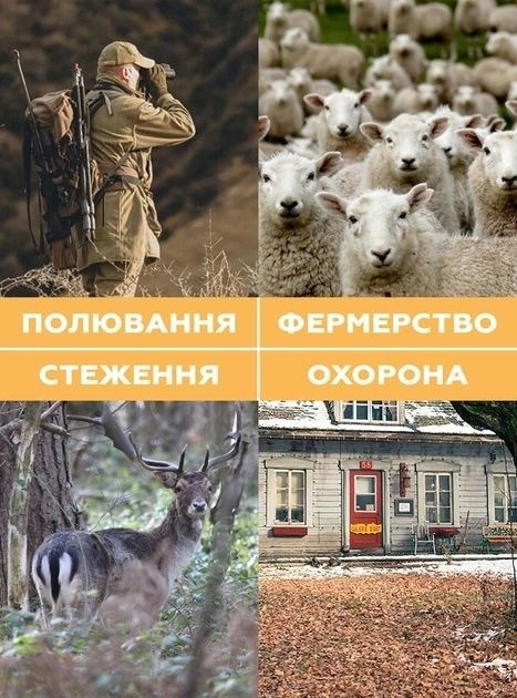 2G фотоловушка камера, фотоловушка 2g для слежения за животными, камера ...