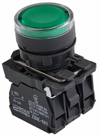 Кнопка с подсветкой (ZBE-101) TB5-AW33M5 АСКО-УКРЕМ зеленая
