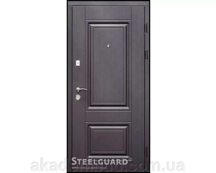 Вхідні двері серії   ALTA DO-30