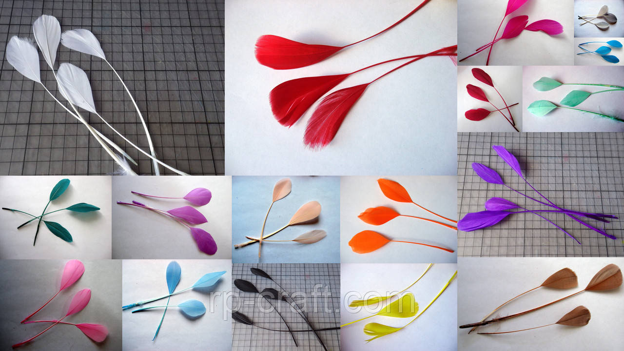 Перо пташине. Вишневе, від 13 до 19 см, фото 1