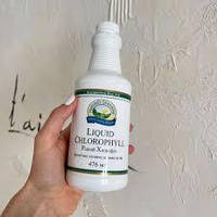 Хлорофіл рідкий NSP Chlorophyll Liquid 475мл