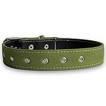 Нашийник брезентовий подвійний для собак. Безрозмірний нашийник подвійний для собак брезент+шкіра, Зелений 27 - 60 см, 35 мм, фото 5