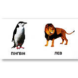 Книжка картонка Серія Карамелька Звірята Вид: Талант, фото 3