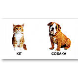 Книжка картонка Серія Карамелька Звірята Вид: Талант, фото 2