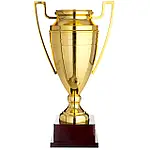 Спортивні нагороди