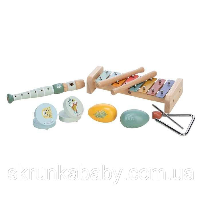 Дитячі музичні інструменти FreeON набір 5в1, фото 1