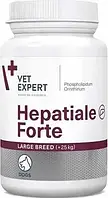 Hepatiale Forte Large Breed VetExpert 40 таблеток ГЕПАТИАЛЕ ФОРТЕ гепатопротектор для собак крупных пород