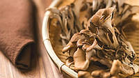 Maitake Mushroom Extract: гриб майтаке і його цілющі властивості