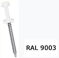 Саморезы кровельные по металлу ETANCO (GUNNEBO) 4.8х19 RAL 9003 упк 250 шт