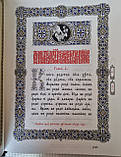 Книга Євангеліє Напрестольна церковнослов'янською мовою оклад шкіра,накладки сріблення,2 застібки,розмір 34×47, фото 4