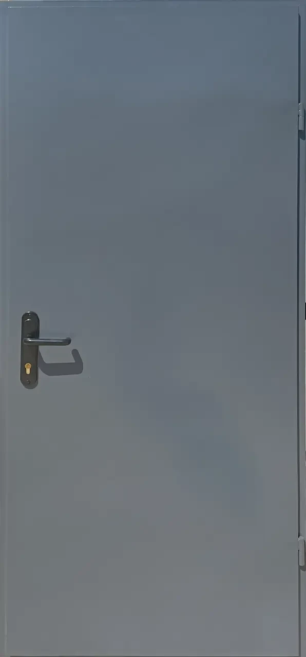 Технічні двері метал/метал Ral 7024 серія Економ