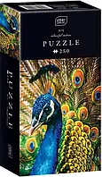 Пазлы трехслойные "Colourful Nature 1 Peacock" 250 шт размер 33х48 см ТМ INTERDRUK