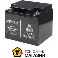 Акумулятор для ДБЖ Energenie AGM 12 В 40 А·год (BAT-12V40AH)