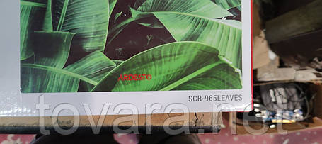 Ваги підлогові Ardesto SCB-965LEAVES No 23240525, фото 2