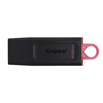 Флешка ЮСБ King DT Exodia USB Flash Drive 3.2 256Гб Black / Pink