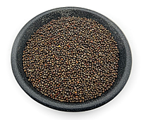 Насіння капусти червоної Гако мікрозелень 100г