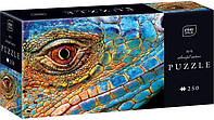 Пазлы трехслойные "Colourful Nature 5 Lizard" 250 шт размер 48х33 см ТМ INTERDRUK