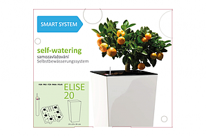 Система автополиву Plastkon SMART SYSTEM для "ELISE" 20 см