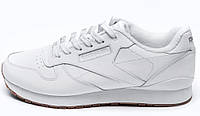 Мужские кроссовки Reebok Classic White термо