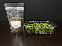 Семена руколы для микрозелени 100 г