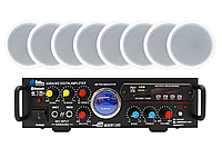 Акустичний комплект SKY SOUND CSM-3008