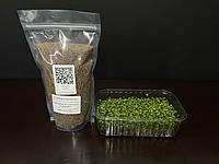 Семена руколы для микрозелени 500 г