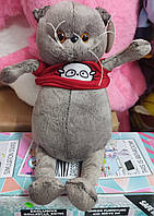 Мила м'яка іграшка Кіт Басік у светрі м'яка іграшка. 26 см, різні варіанти кольору светра в аасортименті