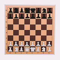 Демонстрационная шахматная доска, 60см х 60см (Украина)
