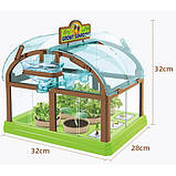 Набір для дослідів Домашня теплиця від Obetty, фото 7