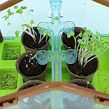 Набір для дослідів Домашня теплиця від Obetty, фото 10